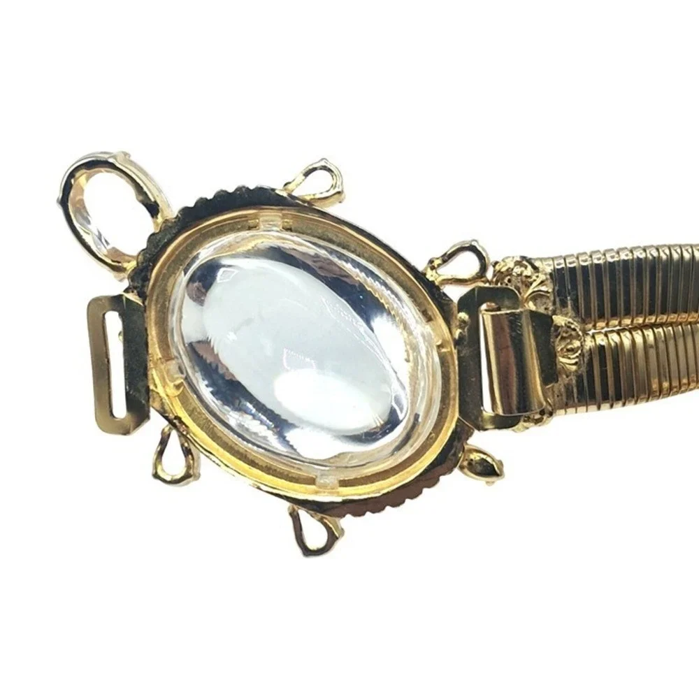 Schreiner Turtle Belt Clear‎ Lucite High Domed Gold Tone Slinky Unsigned Vintage